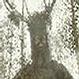 syeager's Avatar