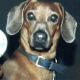 frisky's Avatar
