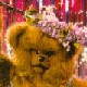 db_ws1108's Avatar
