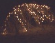 x_lights's Avatar