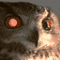 krduncan's Avatar