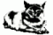 netmask56's Avatar