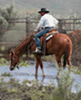 ranchhand's Avatar