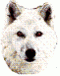 sofwhitewolf's Avatar