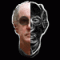vegasarian's Avatar