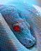 SnakeGirl's Avatar