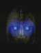 Ethlred's Avatar