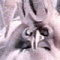 m27315's Avatar