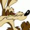 Wile E. Genius's Avatar