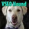 VideoLeadsOnline's Avatar