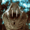 Cobra's Avatar