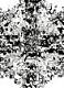PeripheralVisionaryX's Avatar