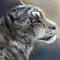 Athari's Avatar