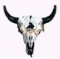 Todd Sauve's Avatar