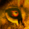 enim's Avatar