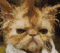 Capmaster.'s Avatar