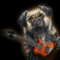 MelRay's Avatar