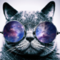 ozmartian's Avatar