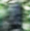 BF Bobb's Avatar