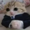 PRAGMA's Avatar
