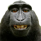 GreekUser's Avatar