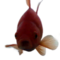 Anonymous Goldfish's Avatar