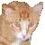 Leoslocks's Avatar