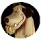 theslydog's Avatar