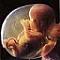 almostaborted's Avatar