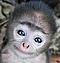 babiulep's Avatar