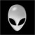 IguanaJoe's Avatar