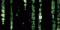 TheMatrixx's Avatar
