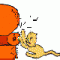 MeDiCo_BrUjO's Avatar