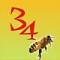 2dogs2's Avatar
