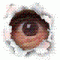 rwmol's Avatar